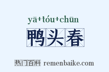 鸭头春是什么意思的图片